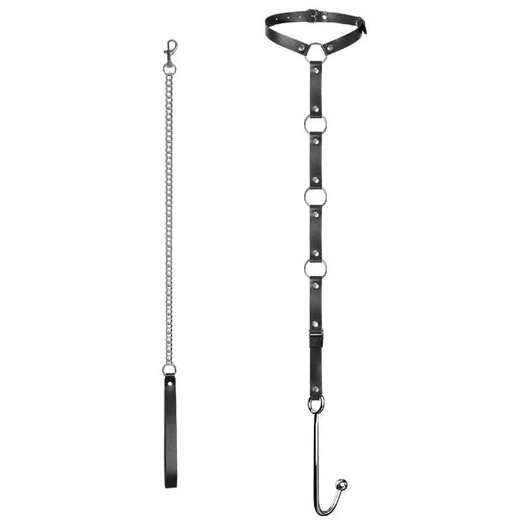 Anal Hooks Kinky Hook EverydayUse 5853 Collar Leash Anal and with 0829